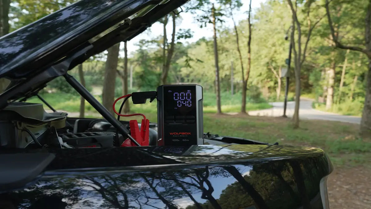 WOLFBOX vs Clore Jump-N-Carry Jump Starter: Which Fits Your Needs?